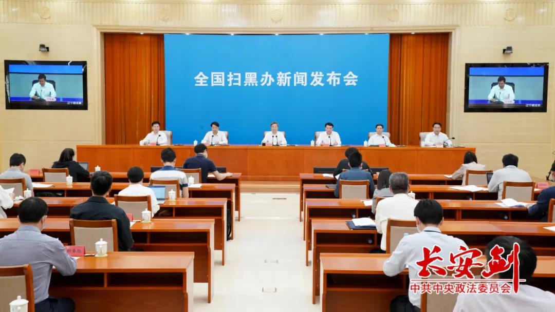案例之二：海南昌江黄鸿发特大黑社会性质组织案